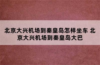 北京大兴机场到秦皇岛怎样坐车 北京大兴机场到秦皇岛大巴